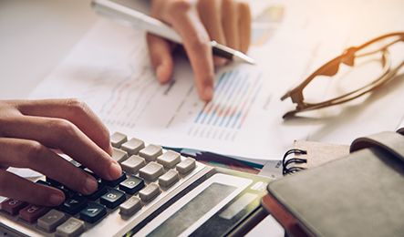 Platform Launch & Growth